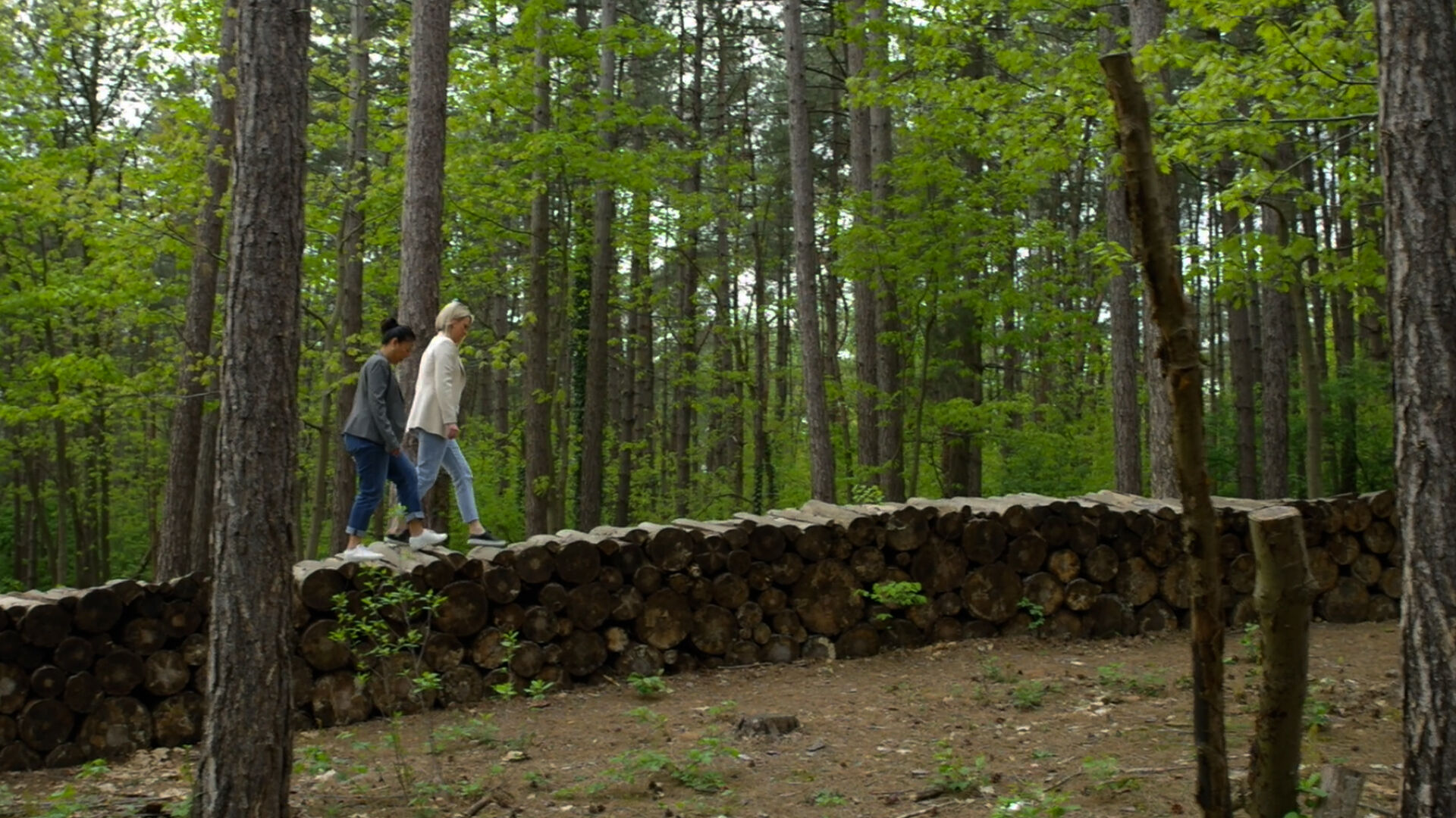Picture of two women walking in a forest 
